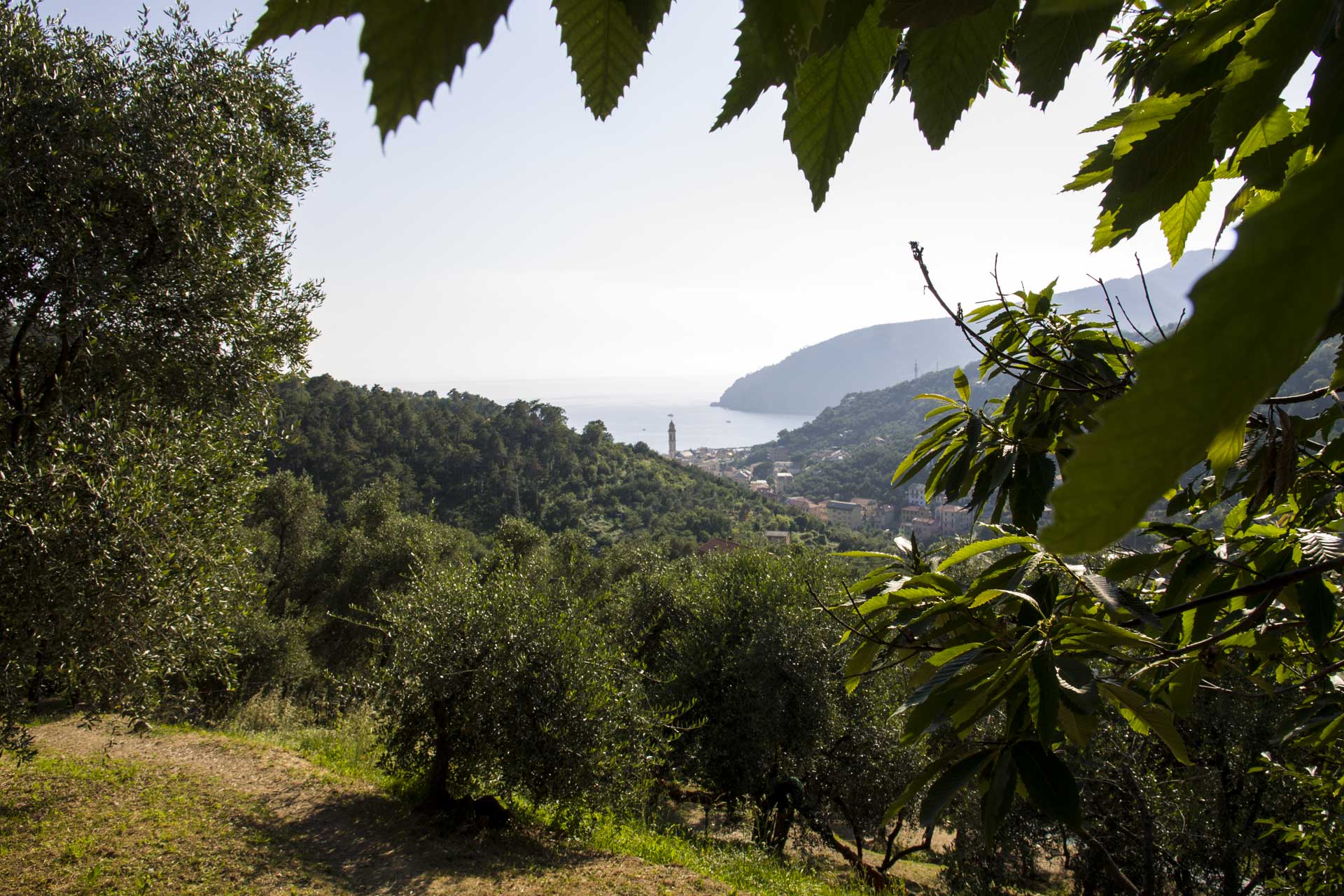 Agriturismo Le Grigue