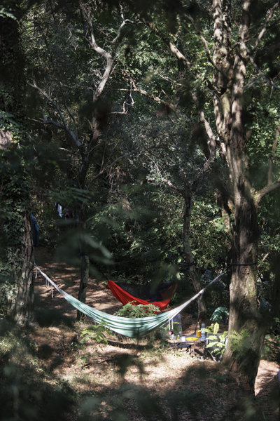 Camping Levanto Collina San Michele — photo 3