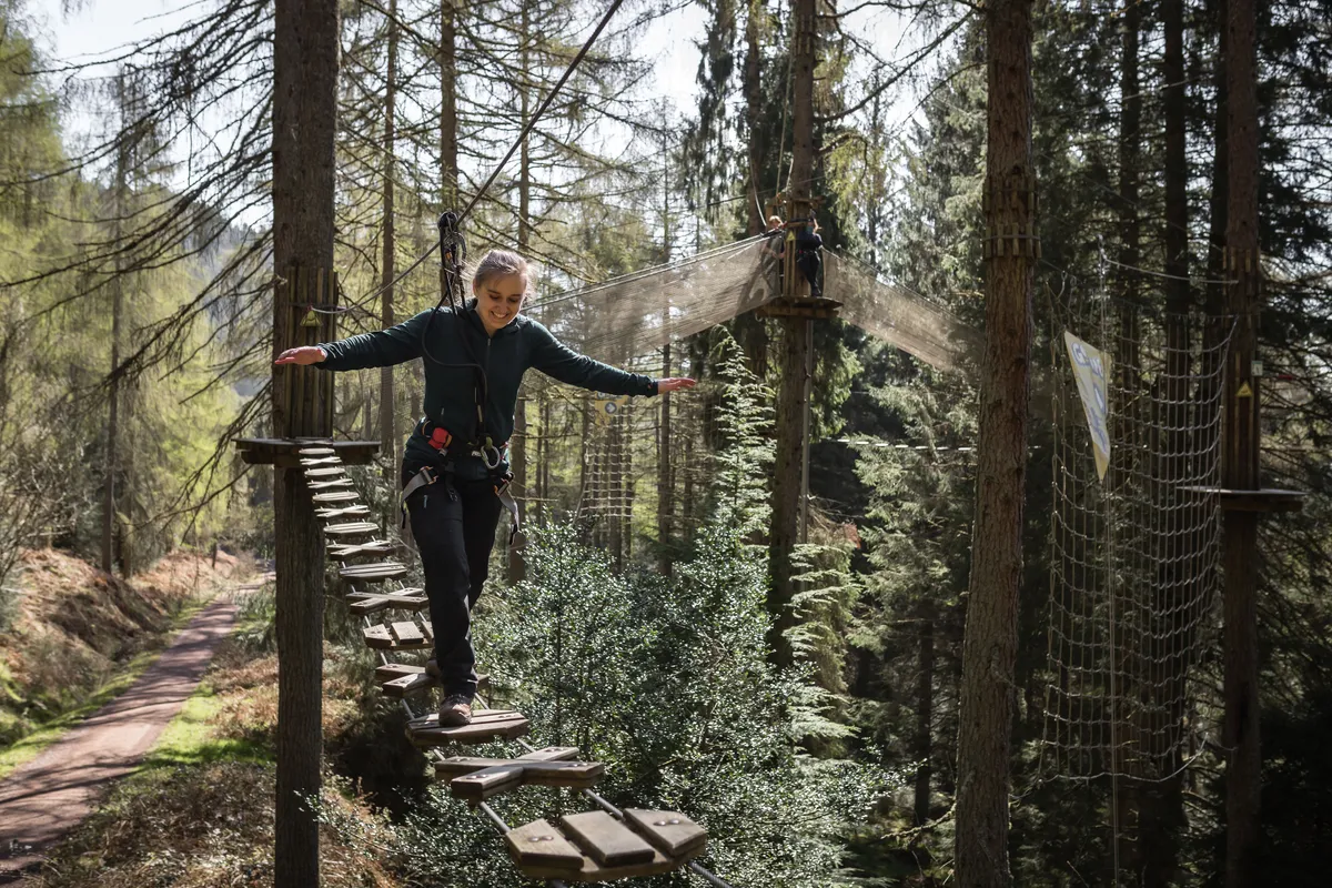 Go Ape Aberfoyle — photo 1