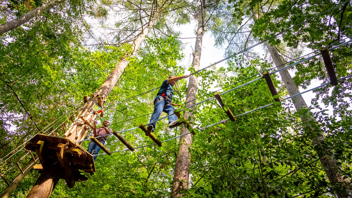 Go Ape Black Park — photo 1