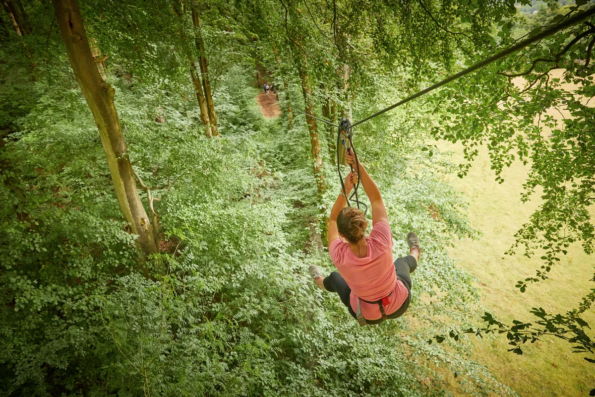 Go Ape Bracknell — photo 1