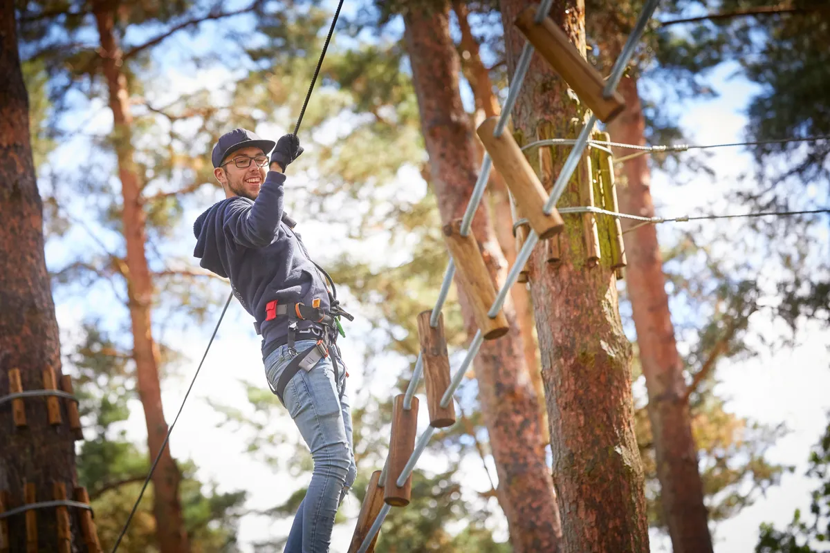 Go Ape Cannock Chase — photo 1