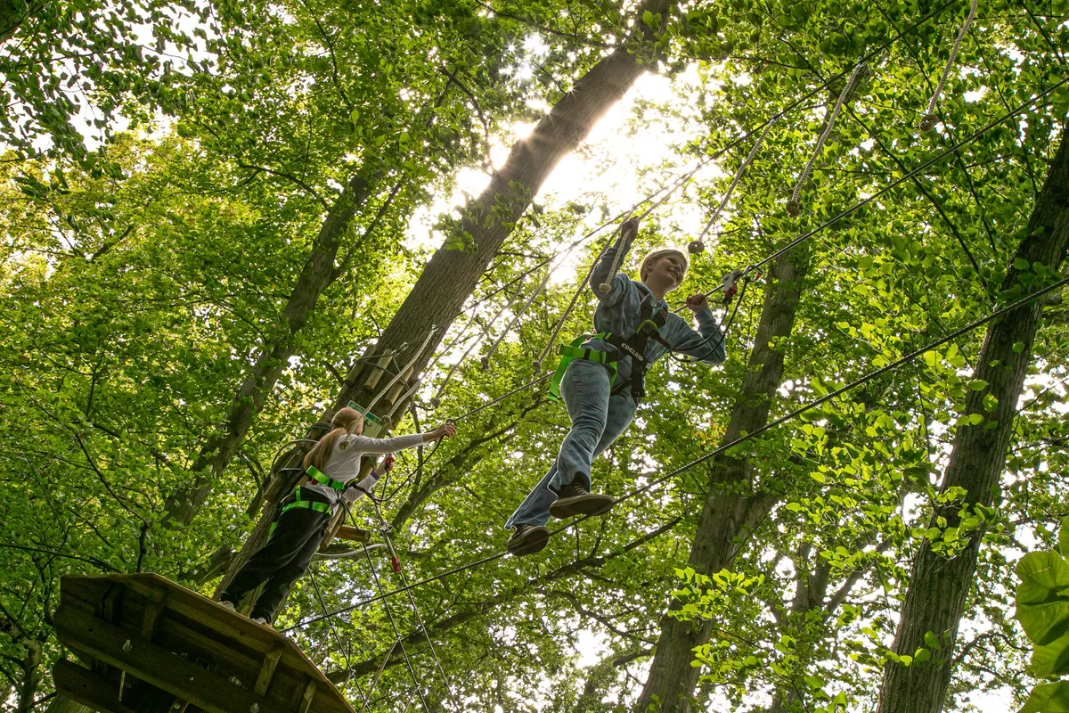 Go Ape Chelmsford Hylands Park — photo 1