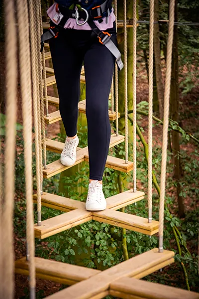 Go Ape Crawley — photo 1