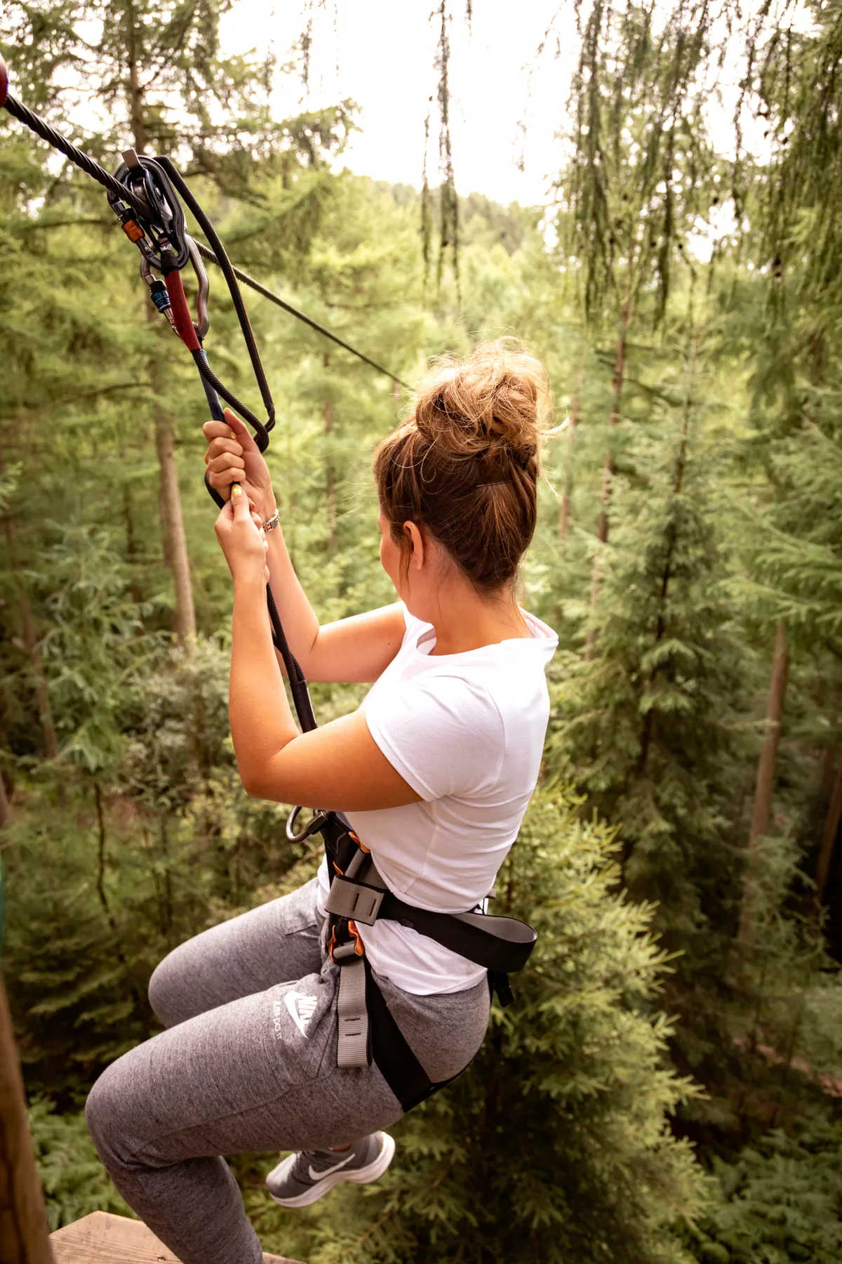 Go Ape Dalby Forest — photo 1