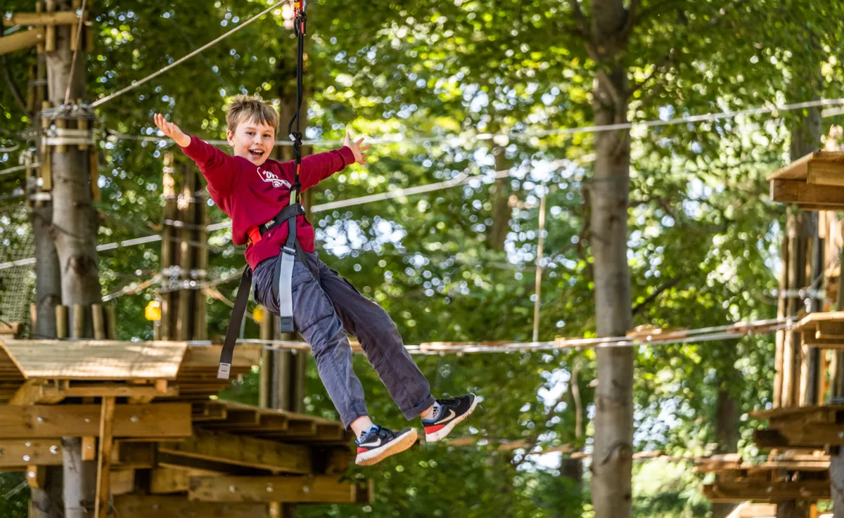 Go Ape Dalkeith Edinburgh — photo 1