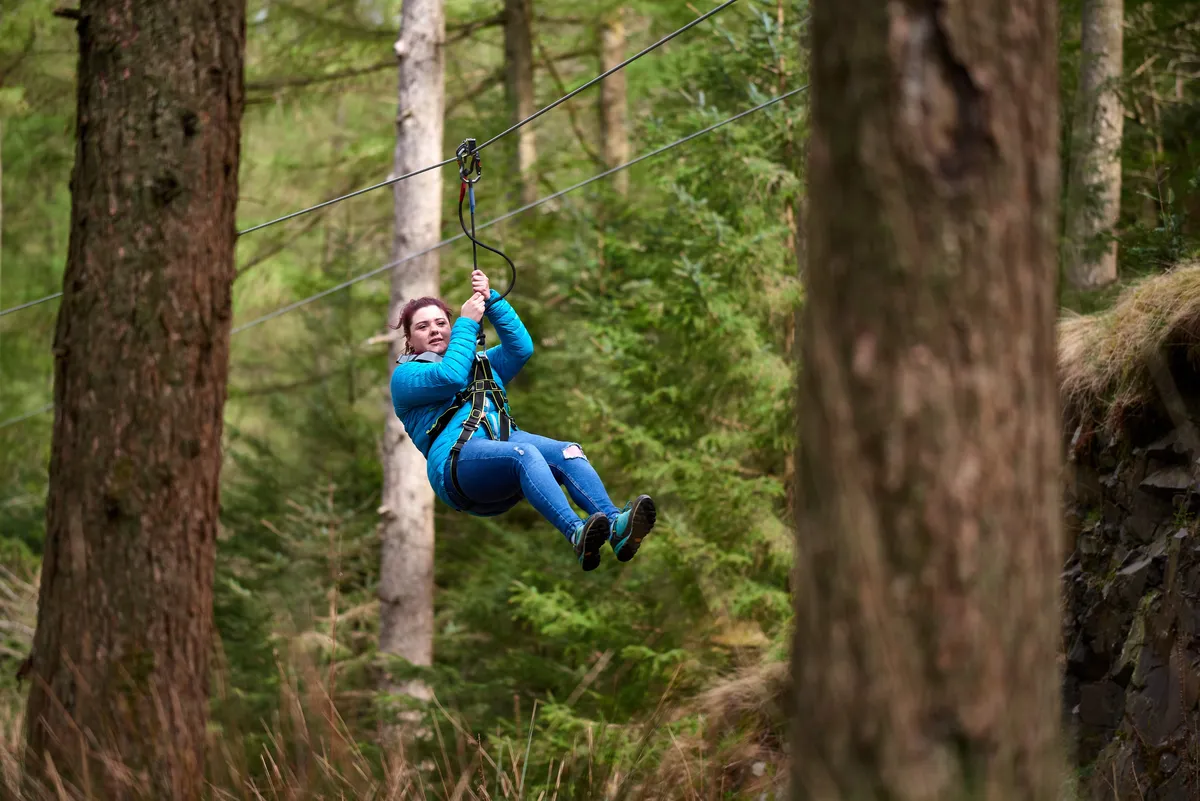 Go Ape Grizedale Forest — photo 1