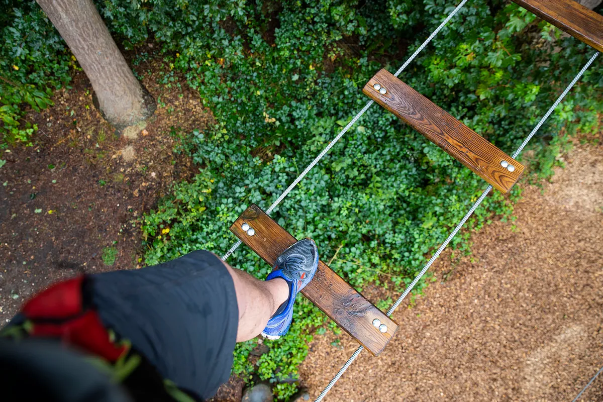 Go Ape Margam Country Park — photo 1