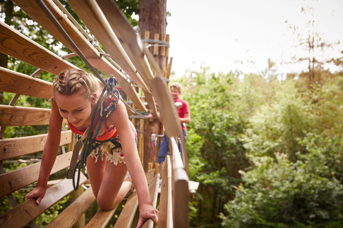 Go Ape Matfen — photo 1