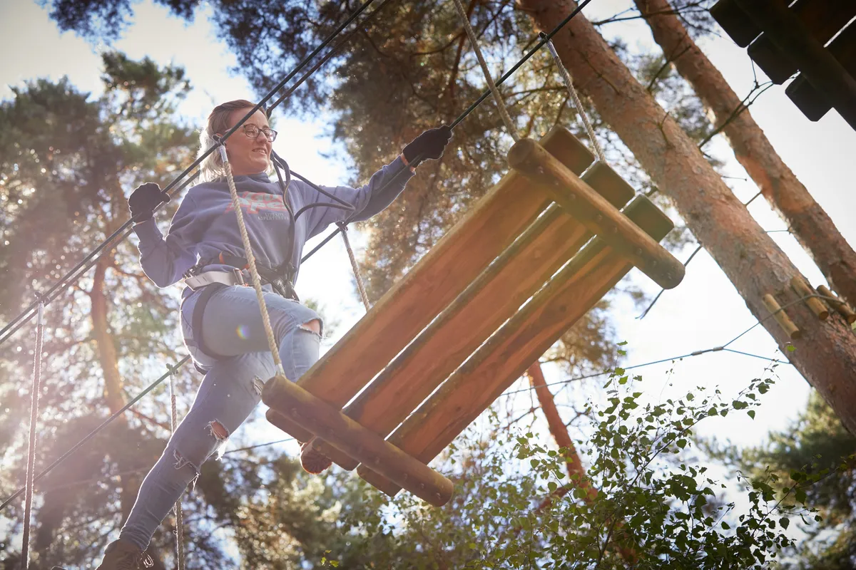 Go Ape Southampton — photo 1
