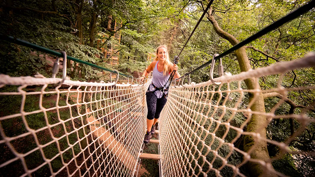 Go Ape Temple Newsam — photo 1