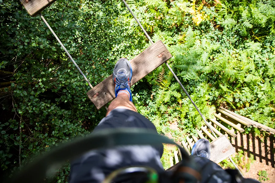 Go Ape Wyre — photo 1