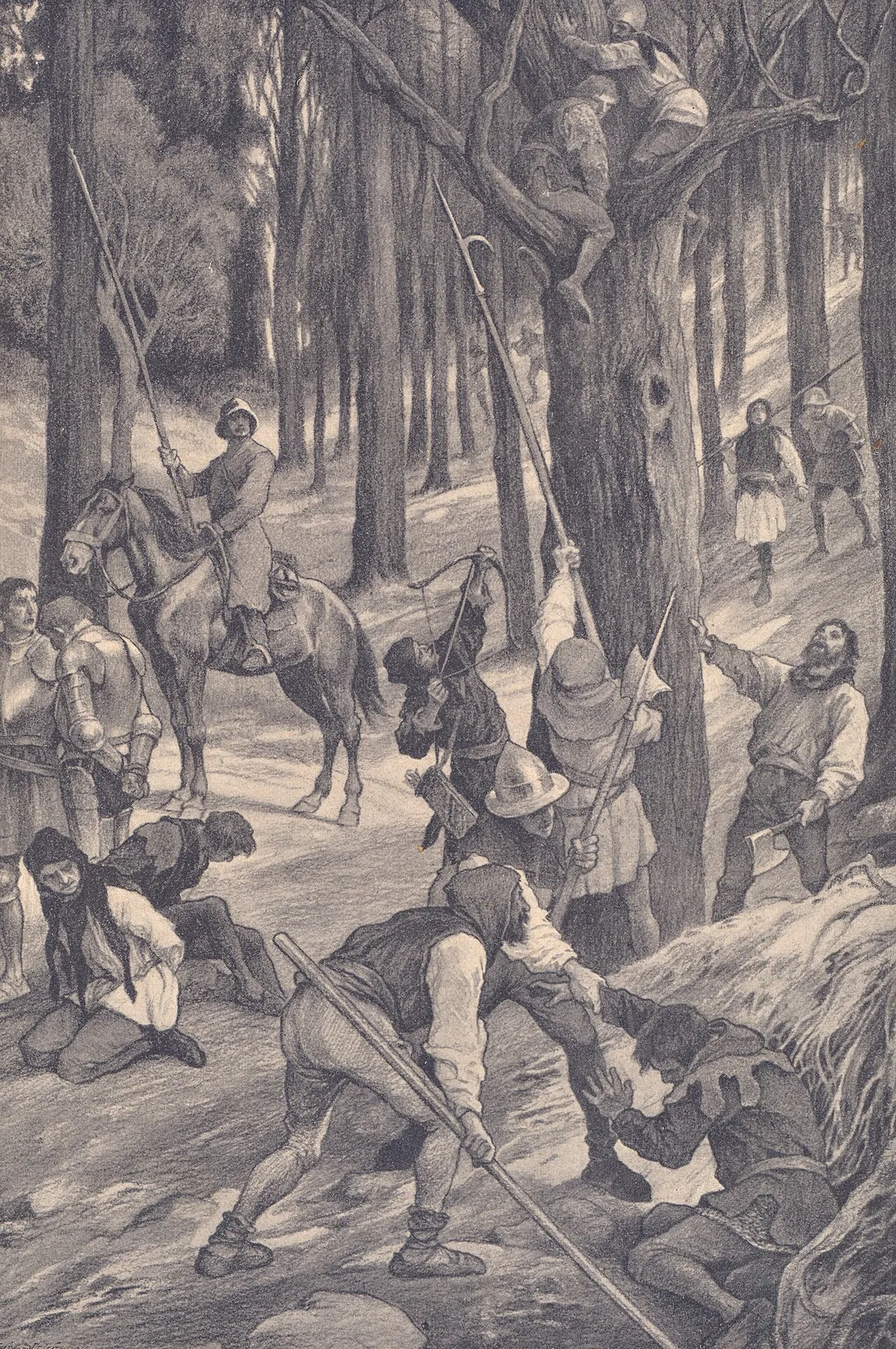 Battle of Domažlice — photo 1