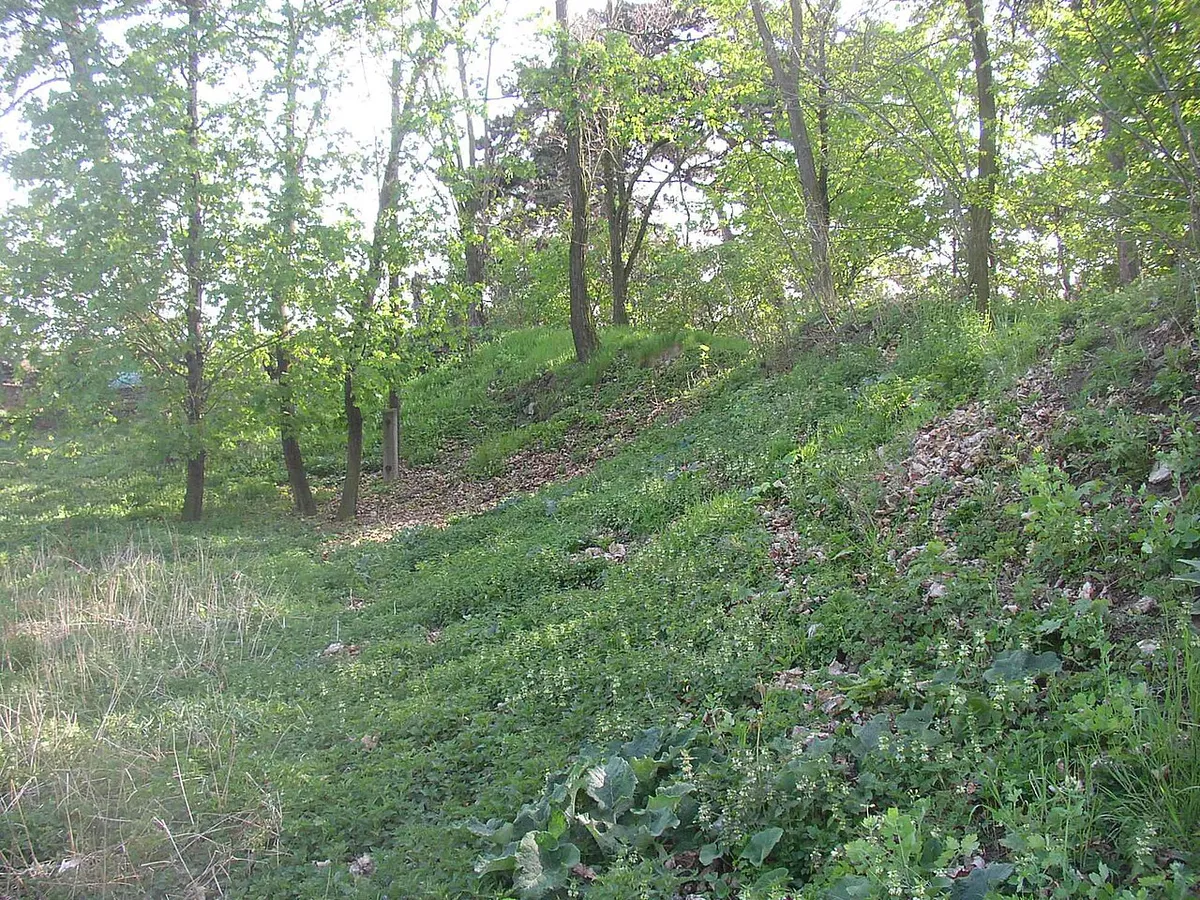 Levý Hradec — photo 1