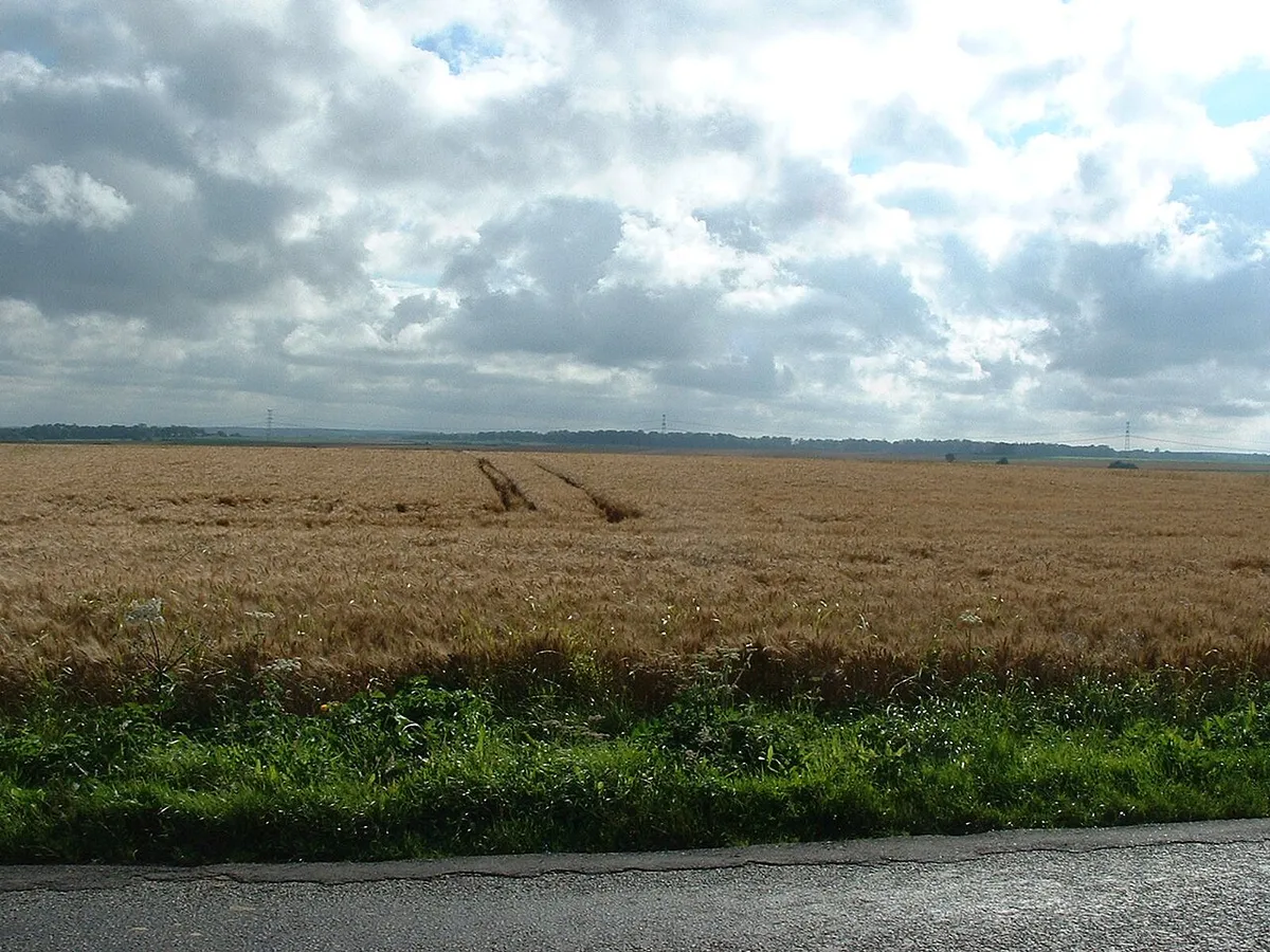 Azincourt Battlefield — photo 1