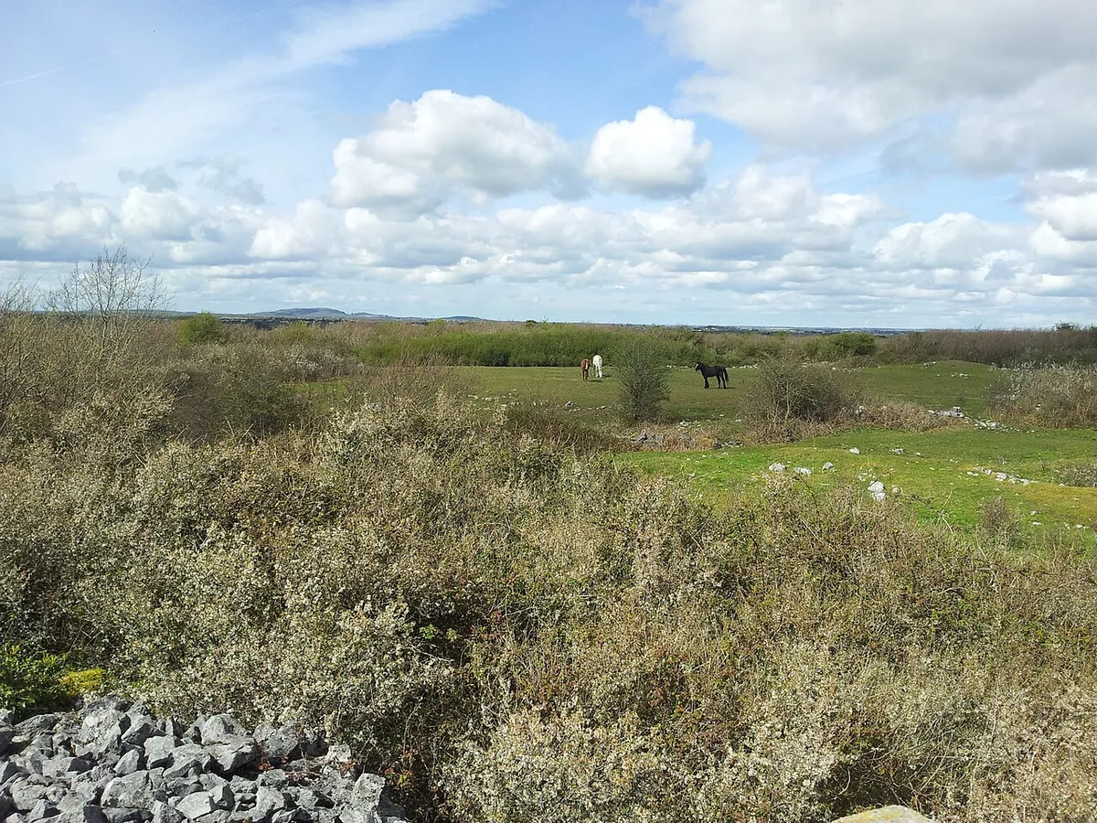 Battle of Knockdoe, Ireland